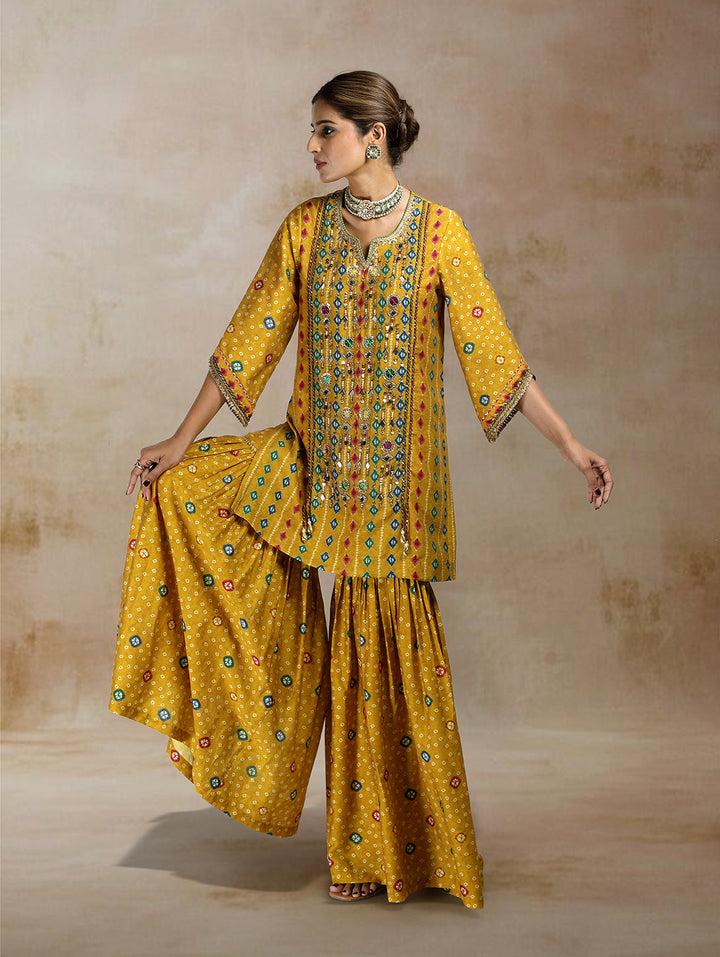 Raiza Ikat Bandhini Peplum Sharara Set| The Bumble Bee