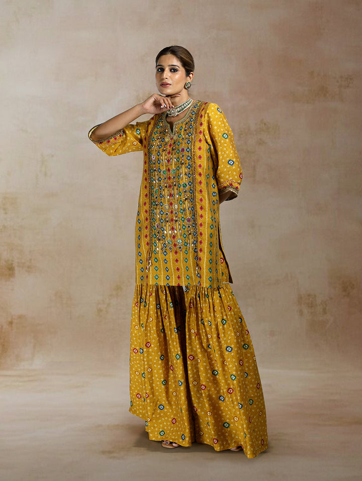 Raiza Ikat Bandhini Peplum Sharara Set| The Bumble Bee