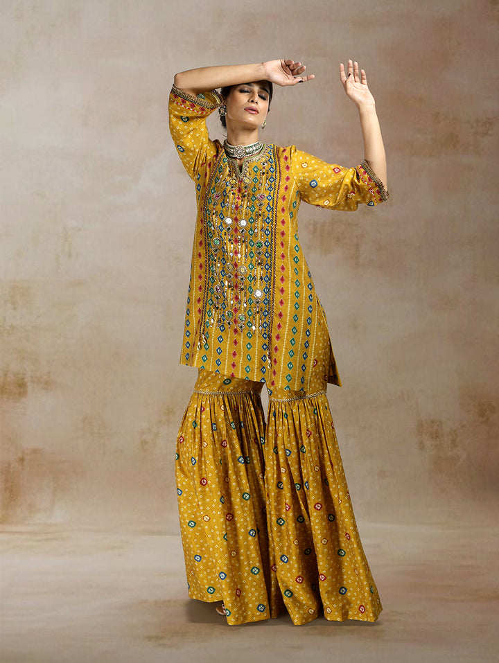 Raiza Ikat Bandhini Peplum Sharara Set| The Bumble Bee