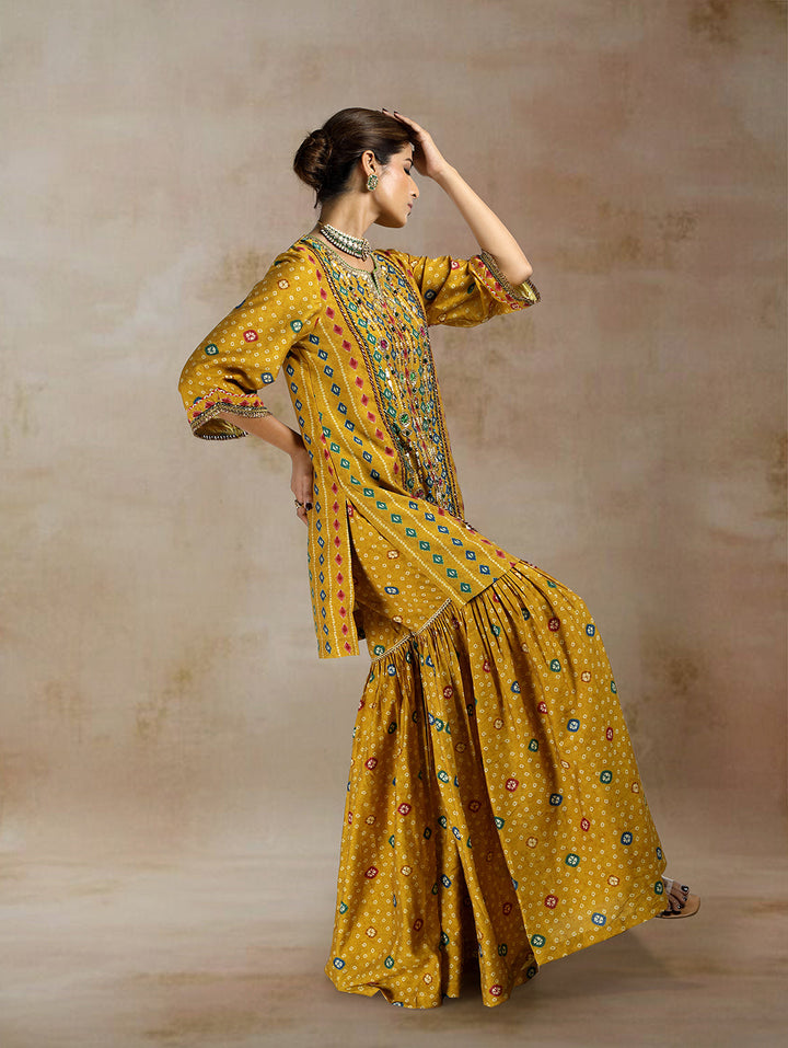 Raiza Ikat Bandhini Peplum Sharara Set| The Bumble Bee