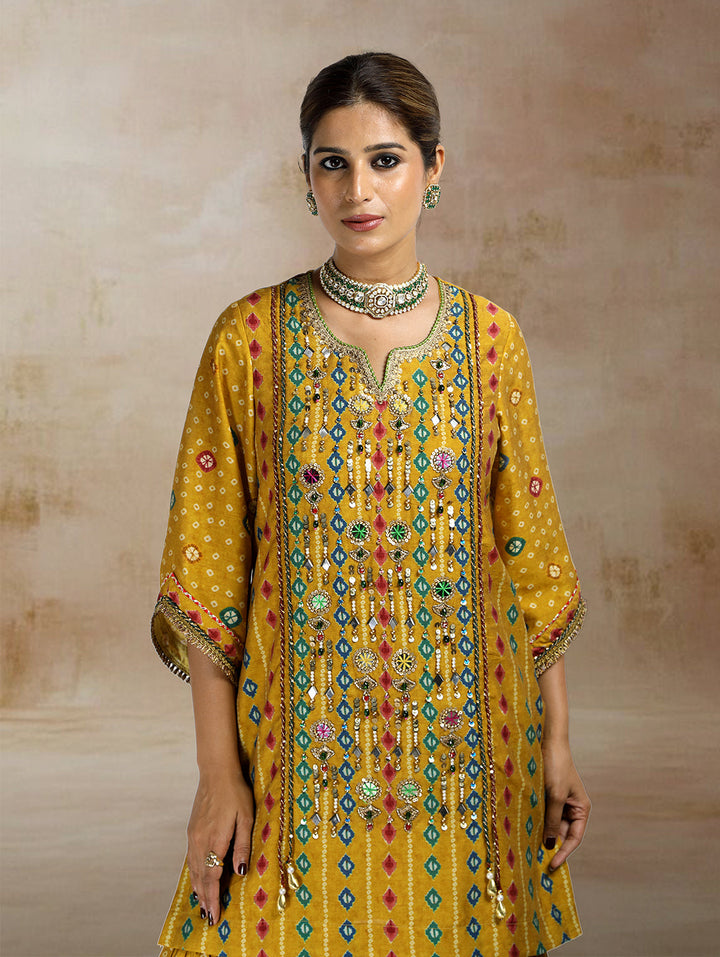 Raiza Ikat Bandhini Peplum Sharara Set| The Bumble Bee