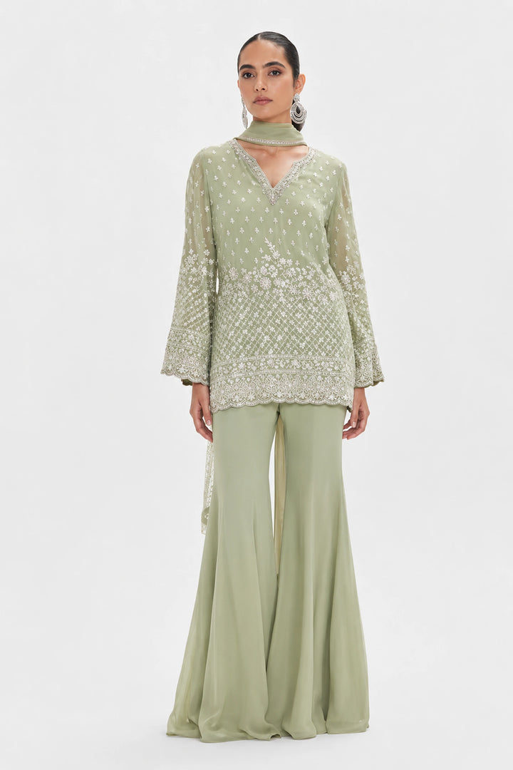 The Pista Shimmer Sharara Set|Basanti Kapde Aur Koffee
