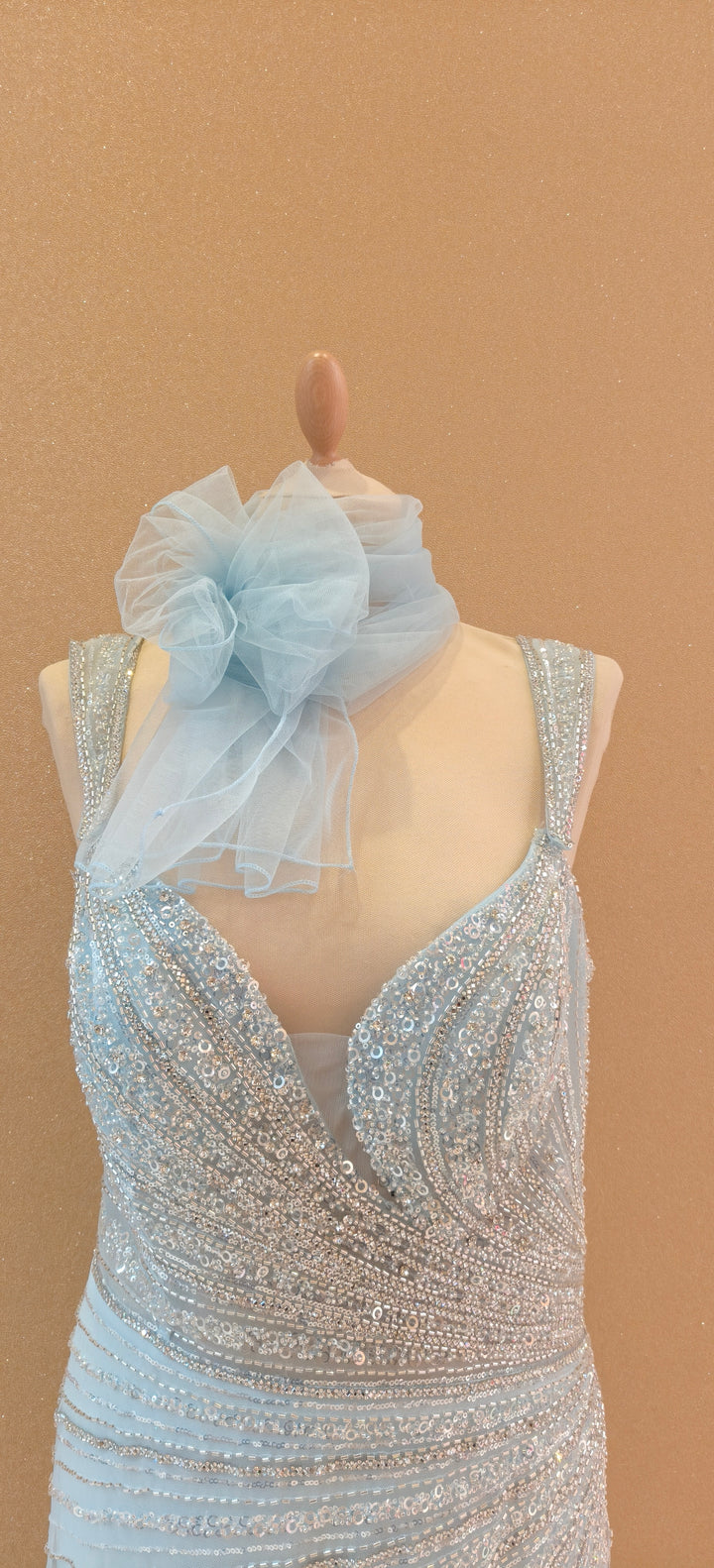 Icy Blue Serenade Embellished Gown| Inaayat by Divya Taimni
