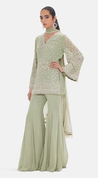 The Pista Shimmer Sharara Set|Basanti Kapde Aur Koffee