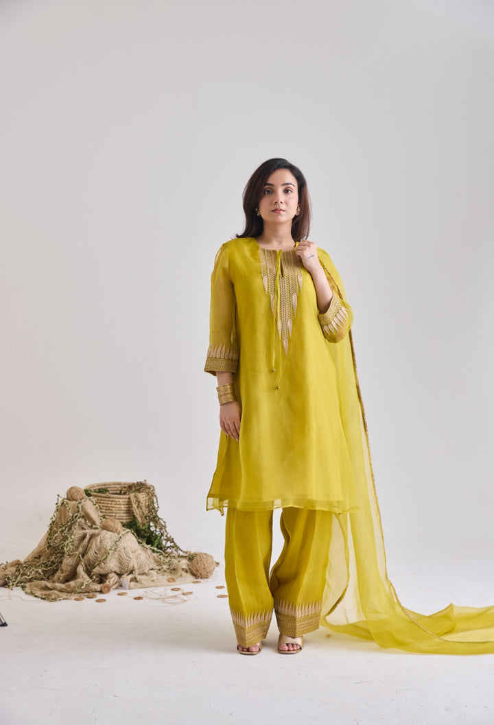 Temple Motif Zari Organza Set | Essence by Monika